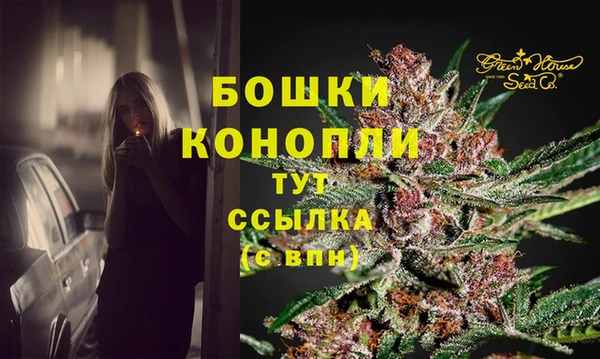mdpv Богородицк
