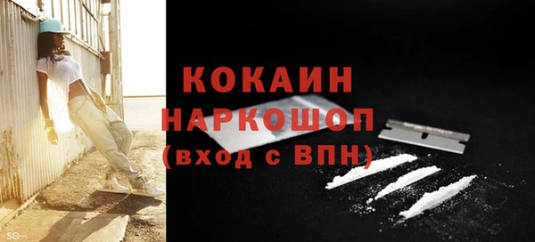 прущие грибы Богородск