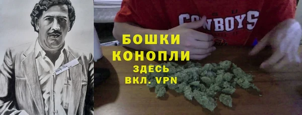 прущие грибы Богородск