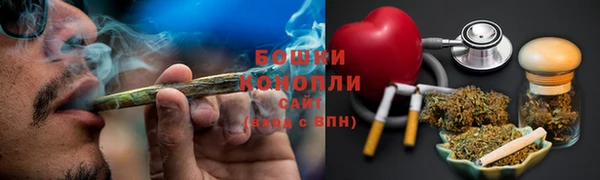mdpv Богородицк