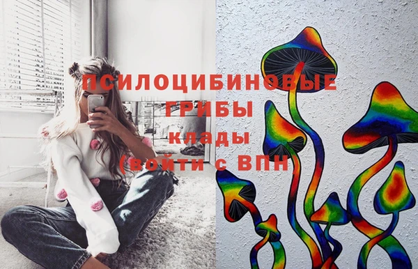 mdpv Богородицк