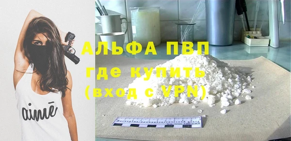 прущие грибы Богородск