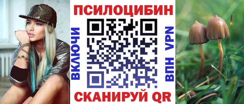 Псилоцибиновые грибы мицелий Купино