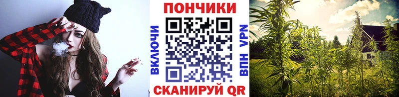 наркота  Купино  кракен tor  Конопля семена 
